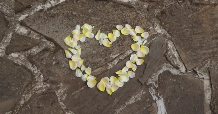 fp2164.webp